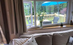The Garden Shed 1